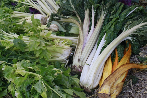 m 7971018364 25b86449be o