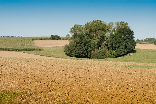 m 8074733060 1ce40ea7e2 o