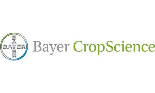 Bayer